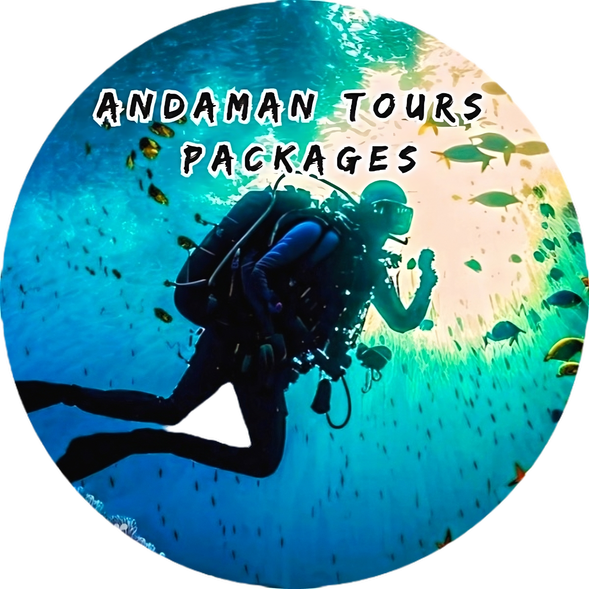 ANDAMAN BIBHASH TOURS